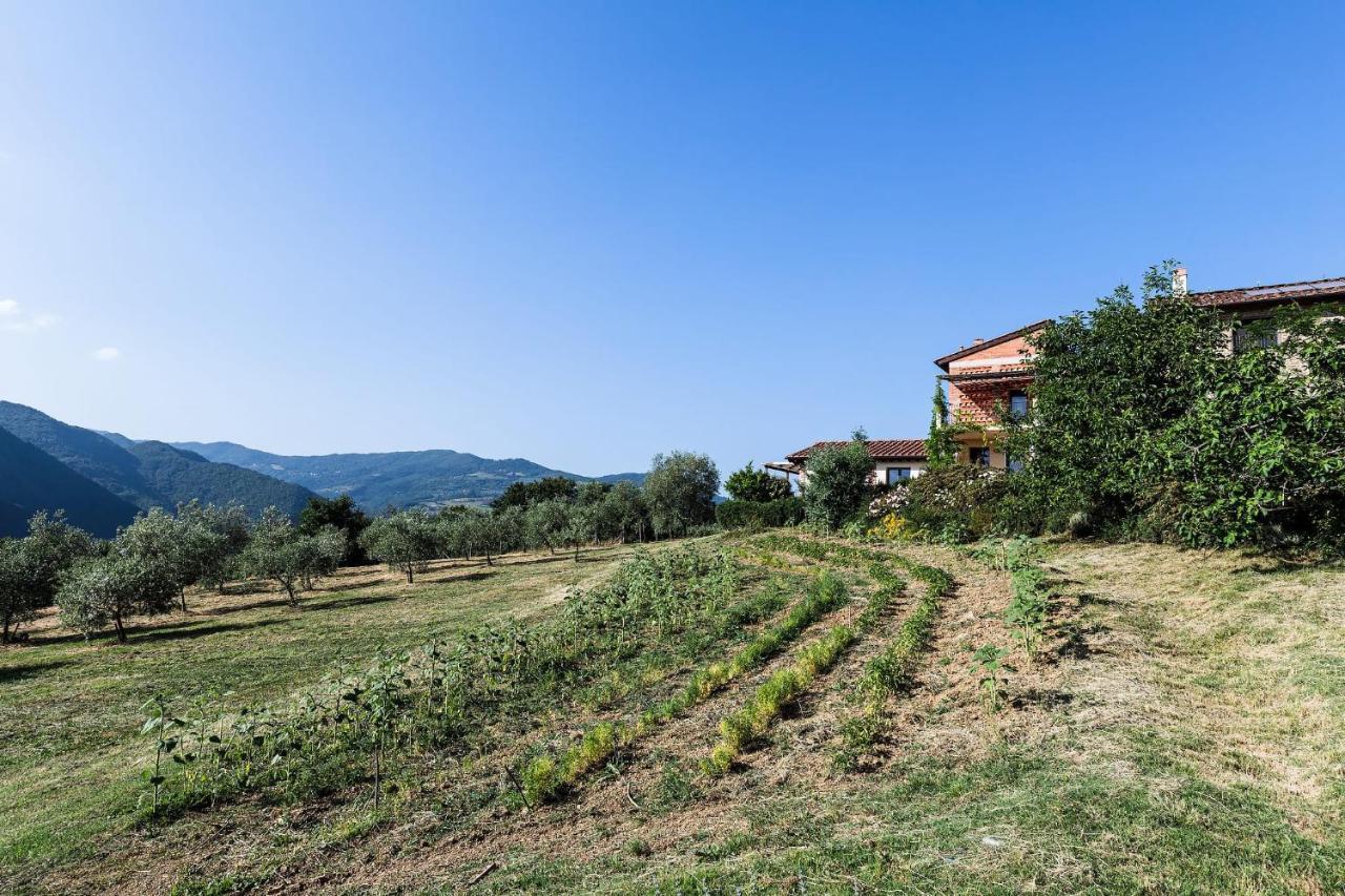 Agriturismo La Fontaccia Rufina Extérieur photo