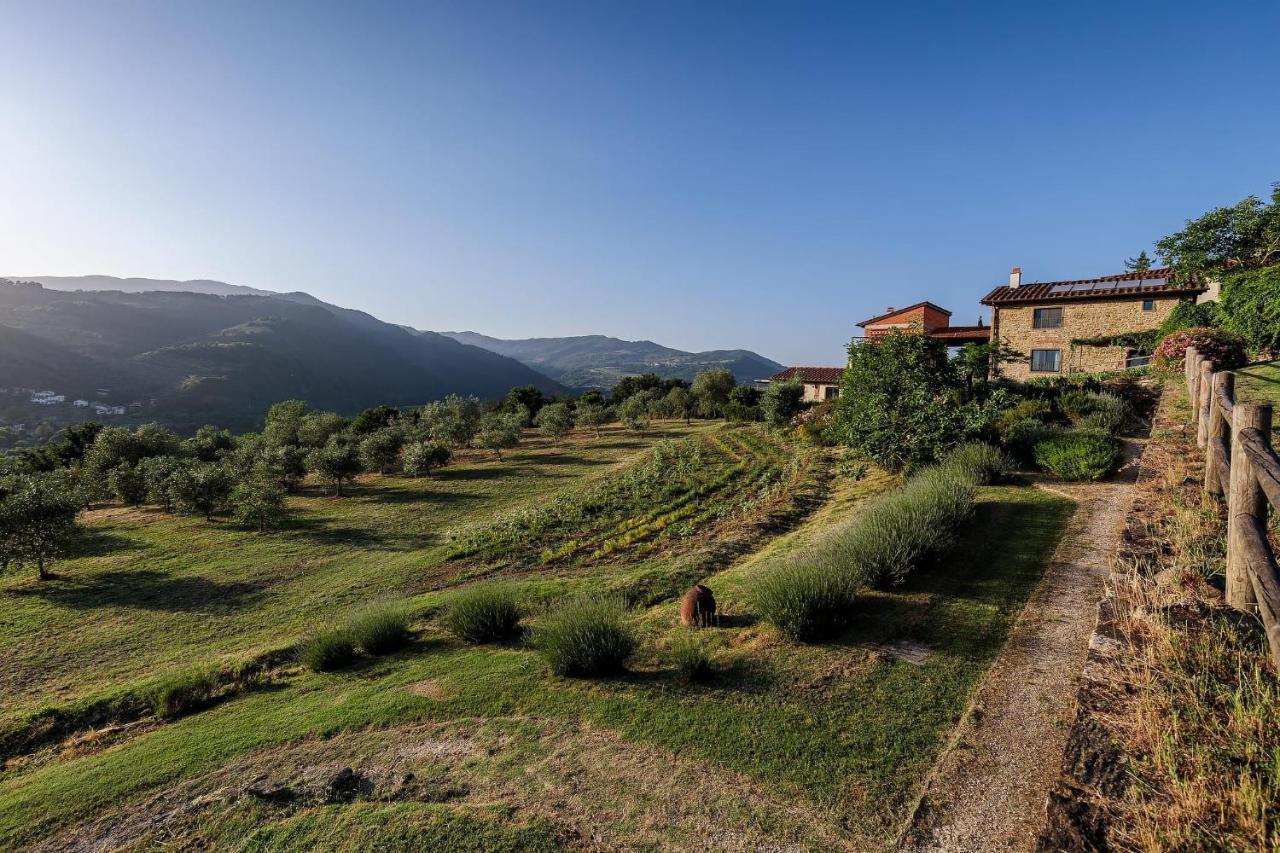 Agriturismo La Fontaccia Rufina Extérieur photo