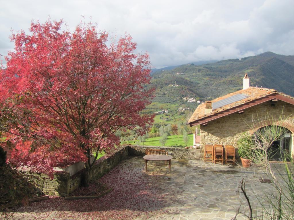 Agriturismo La Fontaccia Rufina Extérieur photo