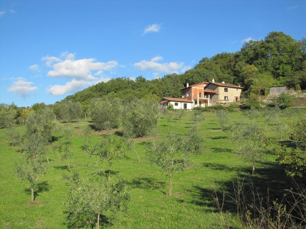 Agriturismo La Fontaccia Rufina Extérieur photo