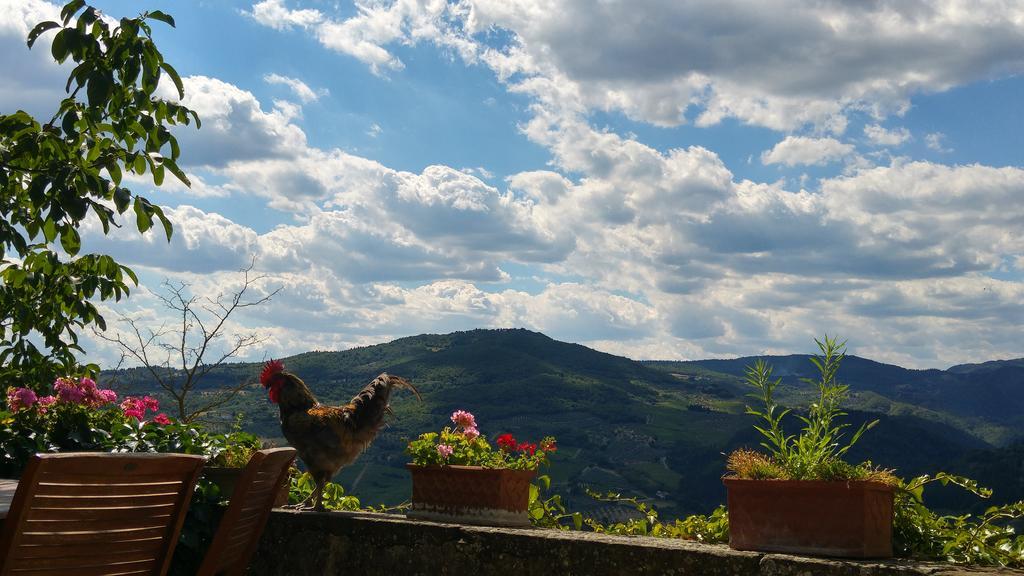 Agriturismo La Fontaccia Rufina Extérieur photo
